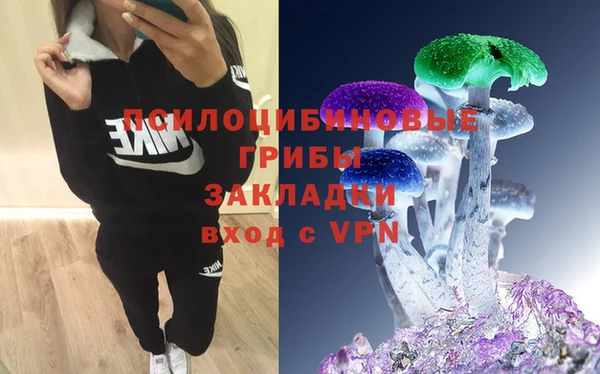 СК Михайловка